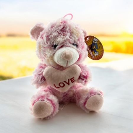 Pastel love heart bears 22cm/8"