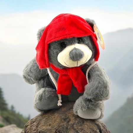 Grey bear with hat & scarf 25cm/10"