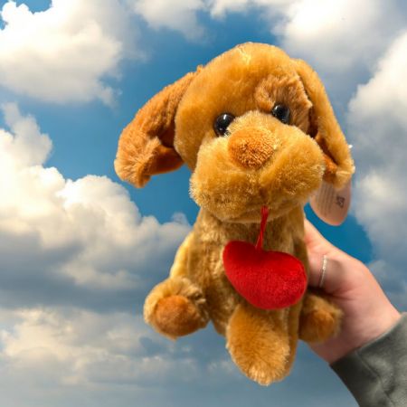 Dog with gift 20cm/8"