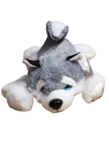 Lying down Husky Dog 38cm | 287HUSKY