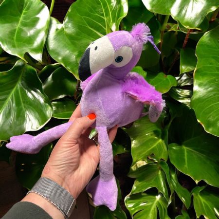 Case Colourful bird 20cm/8" - NC