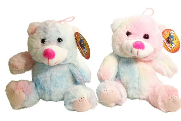 Pastel bear soft toy | 509