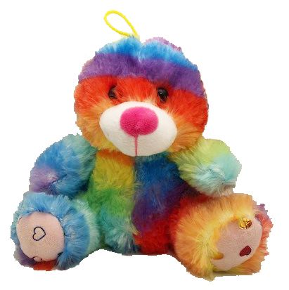 Case of Rainbow bear 18cm | 293CASE